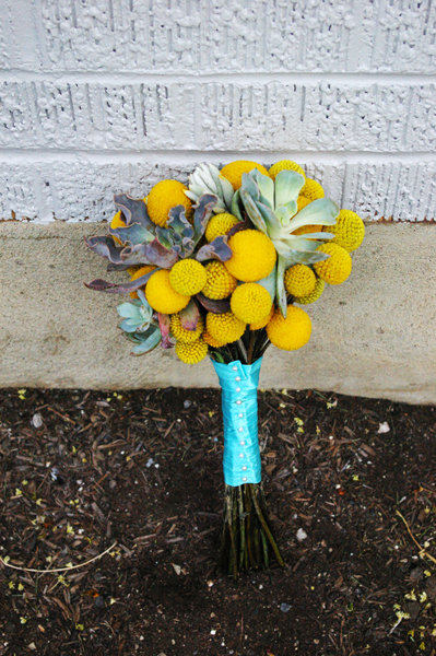 Succulents billy balls create her color palette of gray and yellow tones 