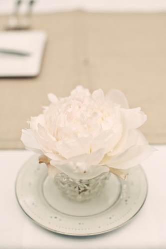peony tea cup alice in wonderland wedding centerpiece studio stems