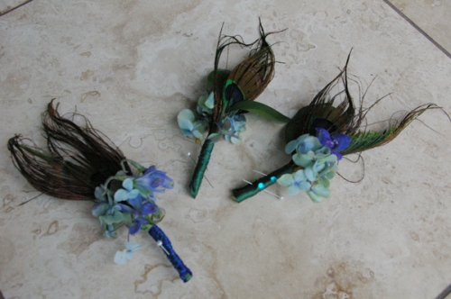 peacock feather boutonnieres studio stems